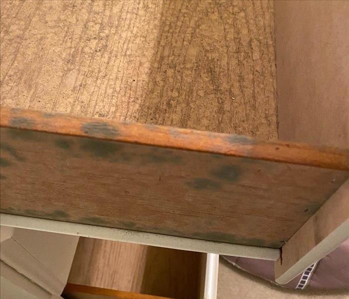 Mold in a drawer