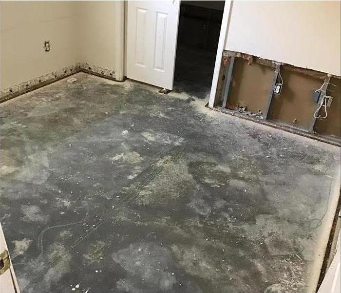 Flood cuts performed on a drywall, baseboards removed, carpet floor removed in a bedroom