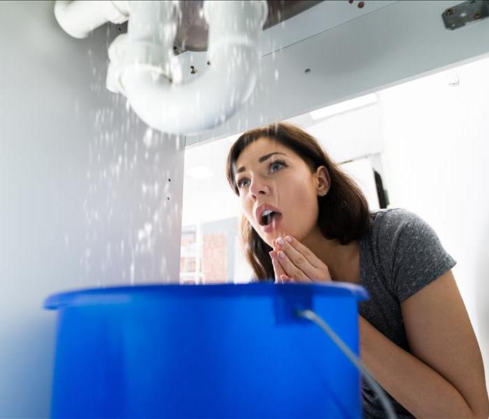 Woman with Emergency Plumbing Sink Leak